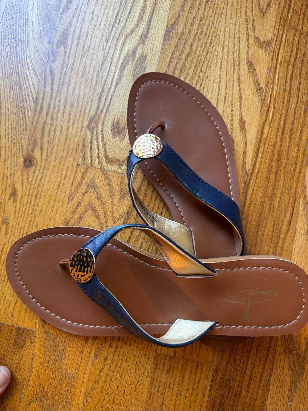 Women's Navy and Brown Thong Sandals with Gold Medallion